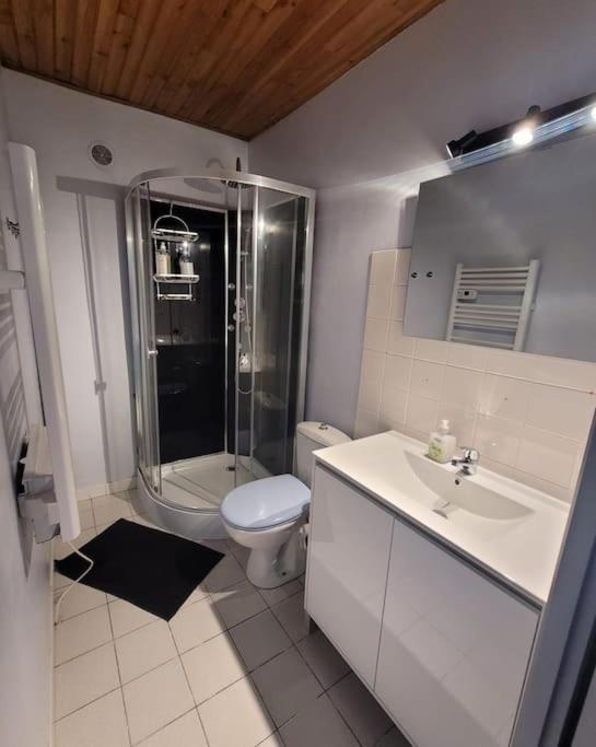 Appartement Calme Vizille Exterior photo